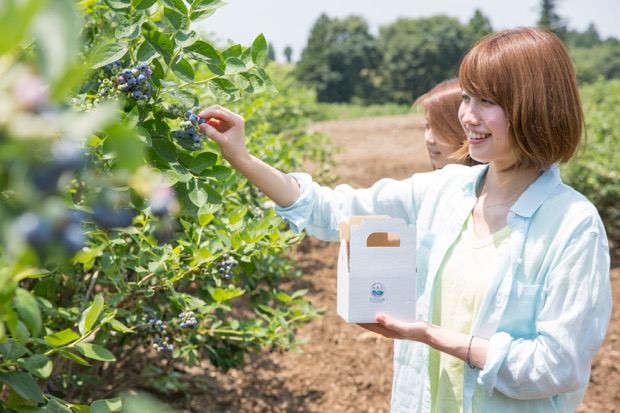 [新しいコレクション] 茨城 フルーツ狩り 195296茨城 フルーツ狩り 11月