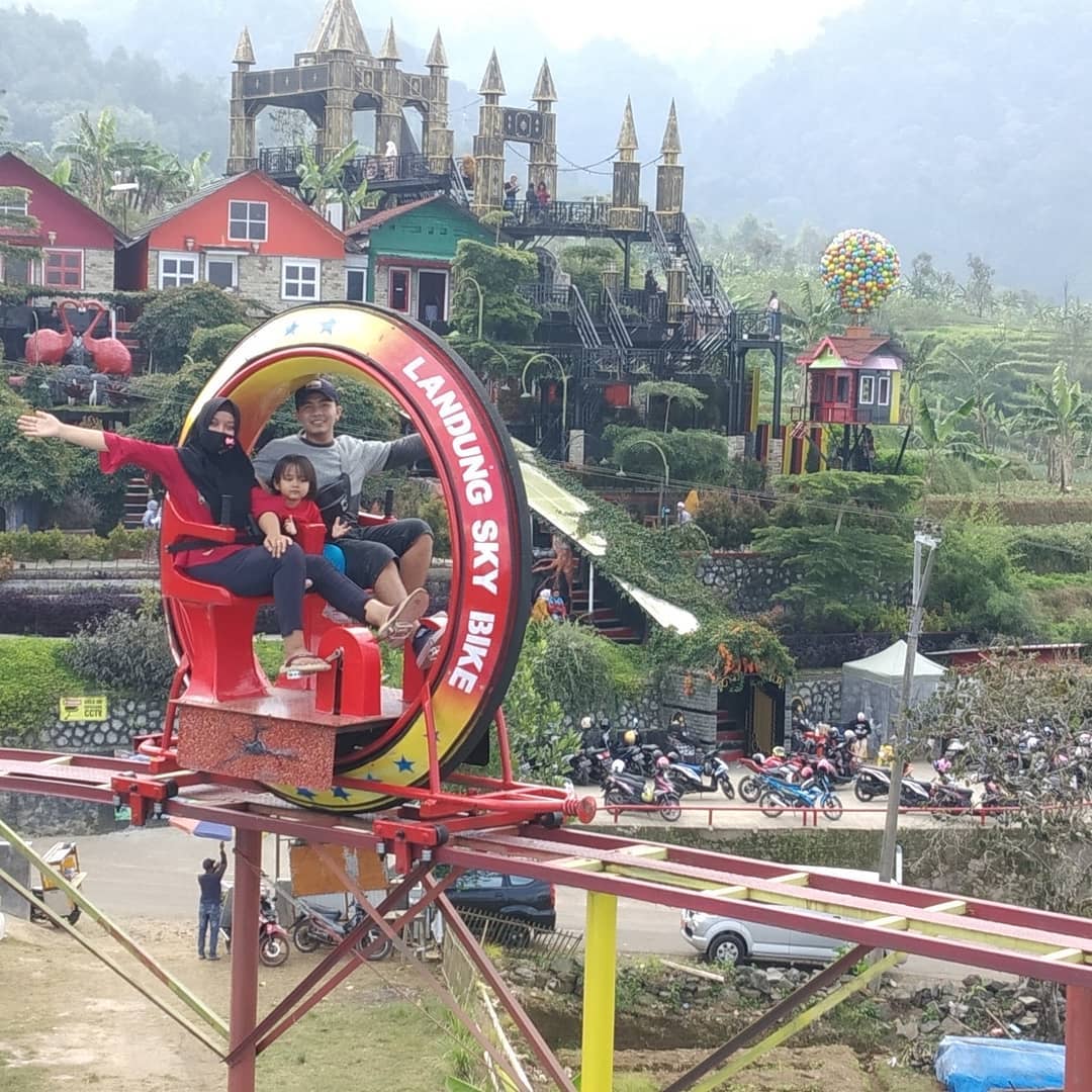 Wisata Pinus Kuningan