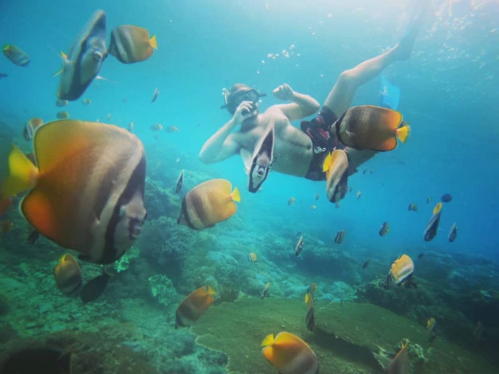Bening Parah! Crystal Bay di Nusa Penida Ini Sediakan Spot Snorkeling