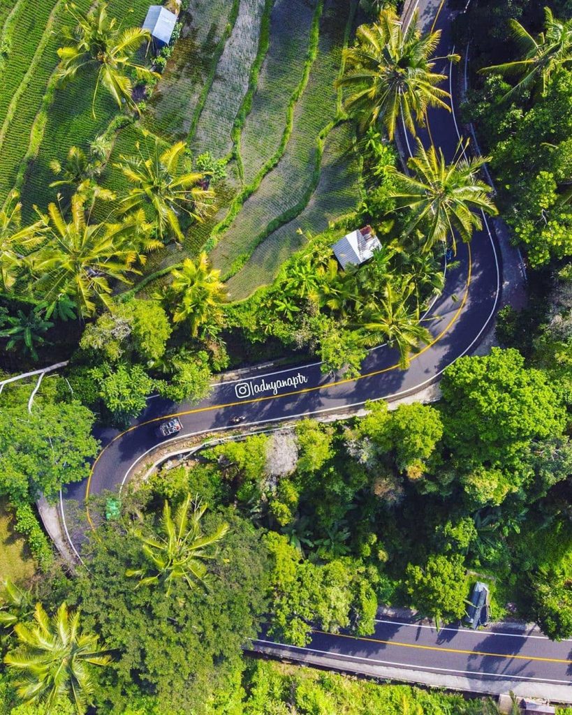 Bukit Jambul, Sajikan Pemandangan Terasering Sawah yang Rapi dari