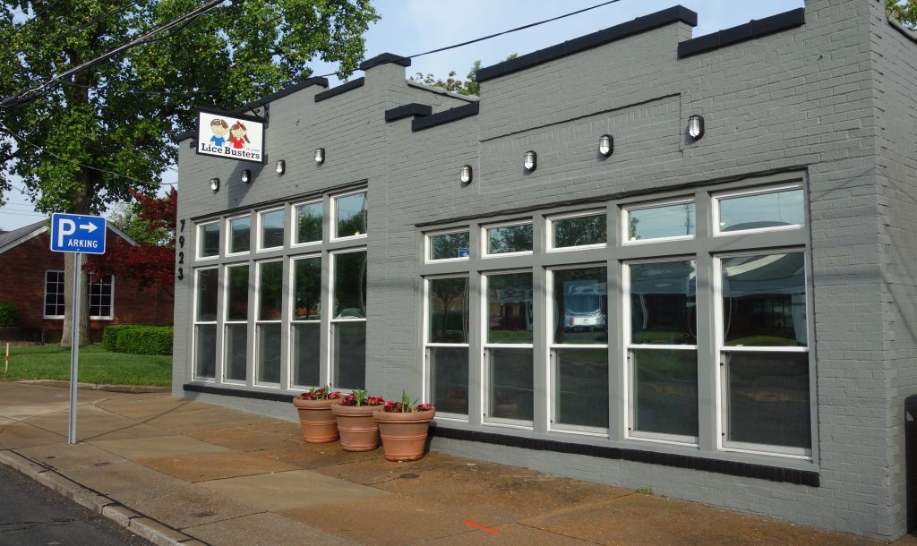 Lice Busters STL How to Treat Lice and other ‘Facts of Lice’