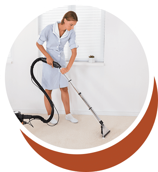 Lice Inspection Service Lice Cleaning Services Lice Busters USA