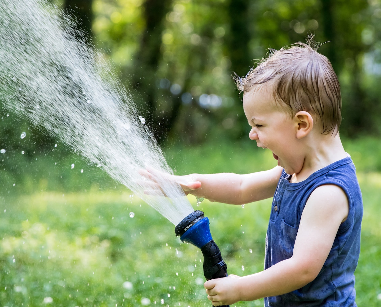 Lice Treatment Lice Knowing You ® AwardWinning Lice Treatment Services