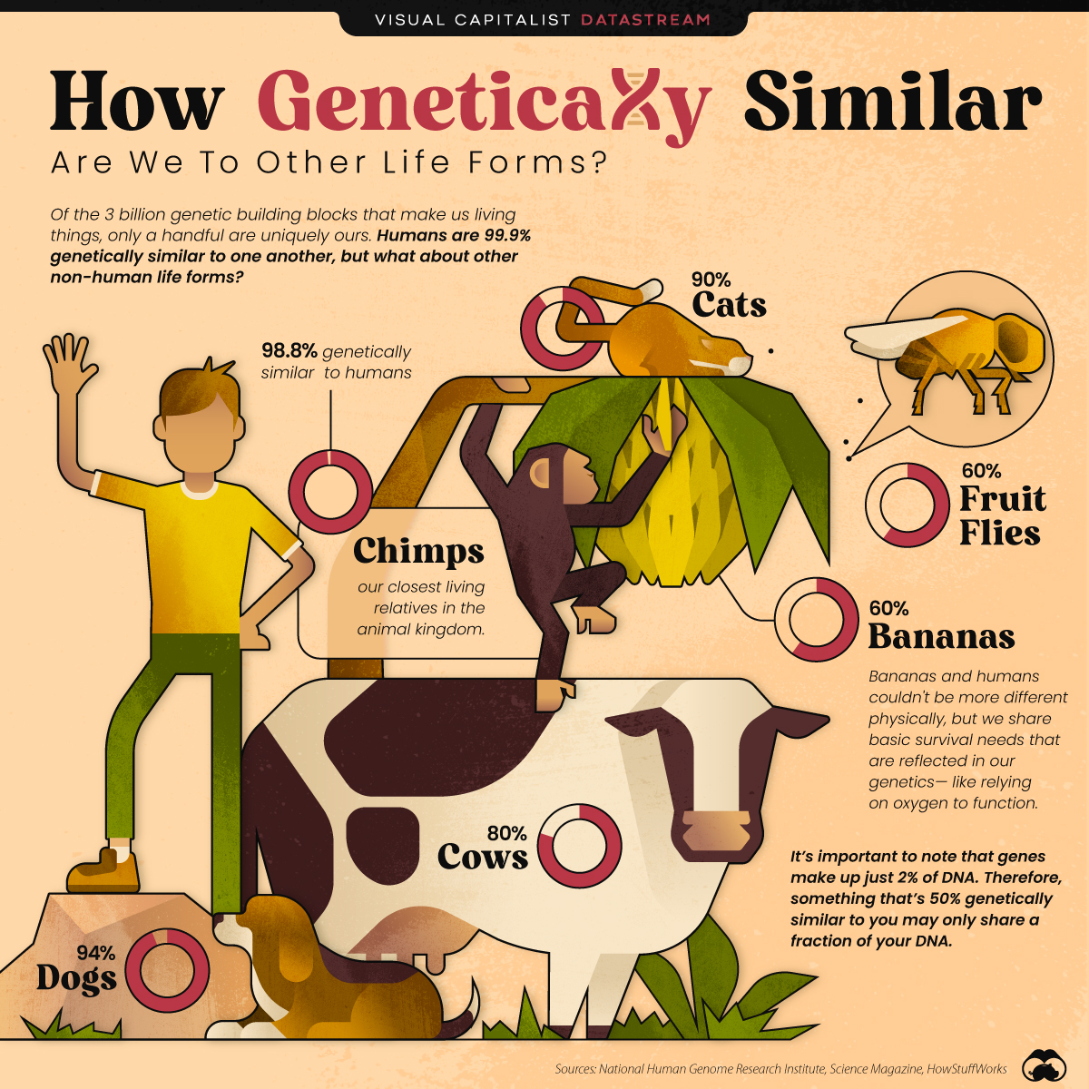 dna Visual Capitalist Licensing