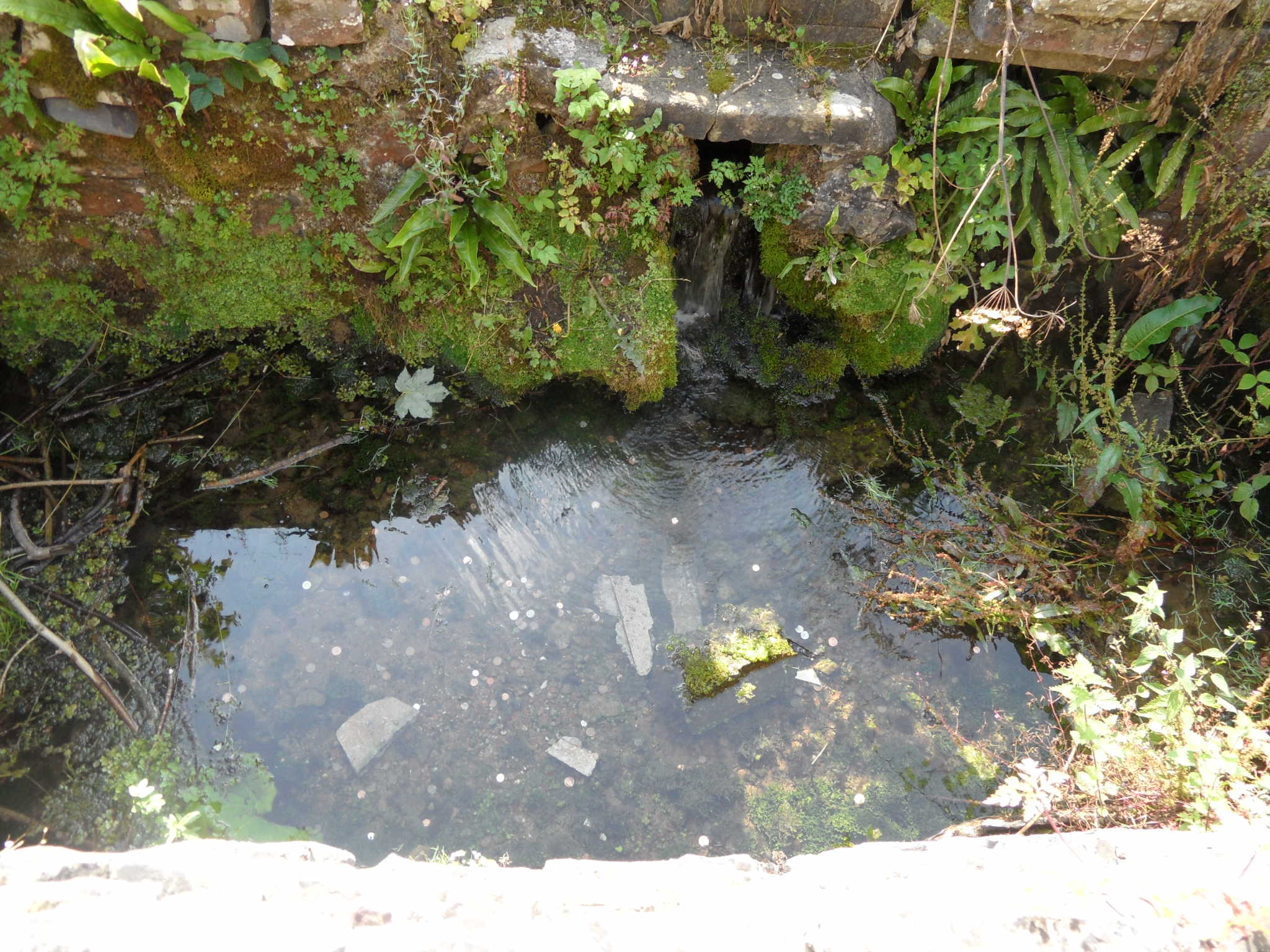 St Bertelin Lichfield Lore