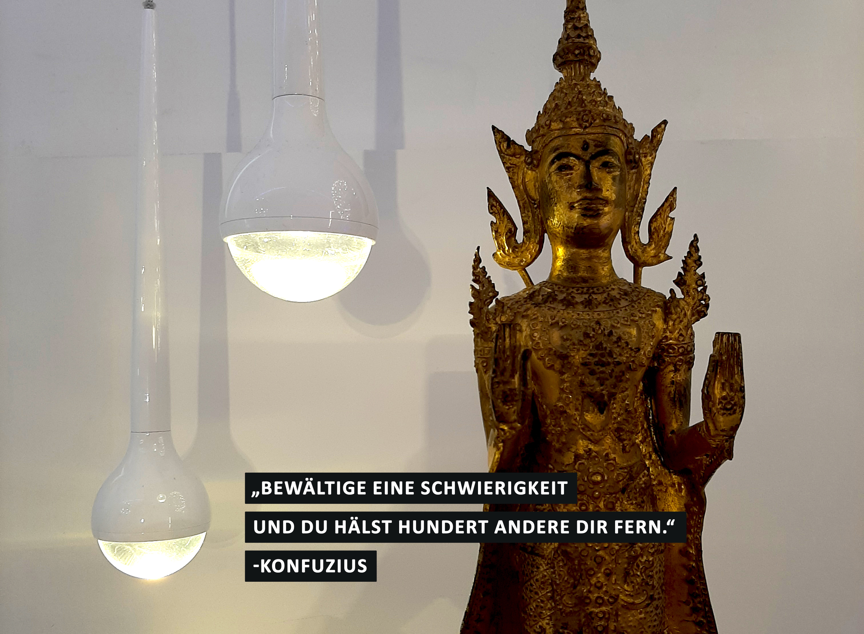 Corona SpruchBild Die Lichtmacher