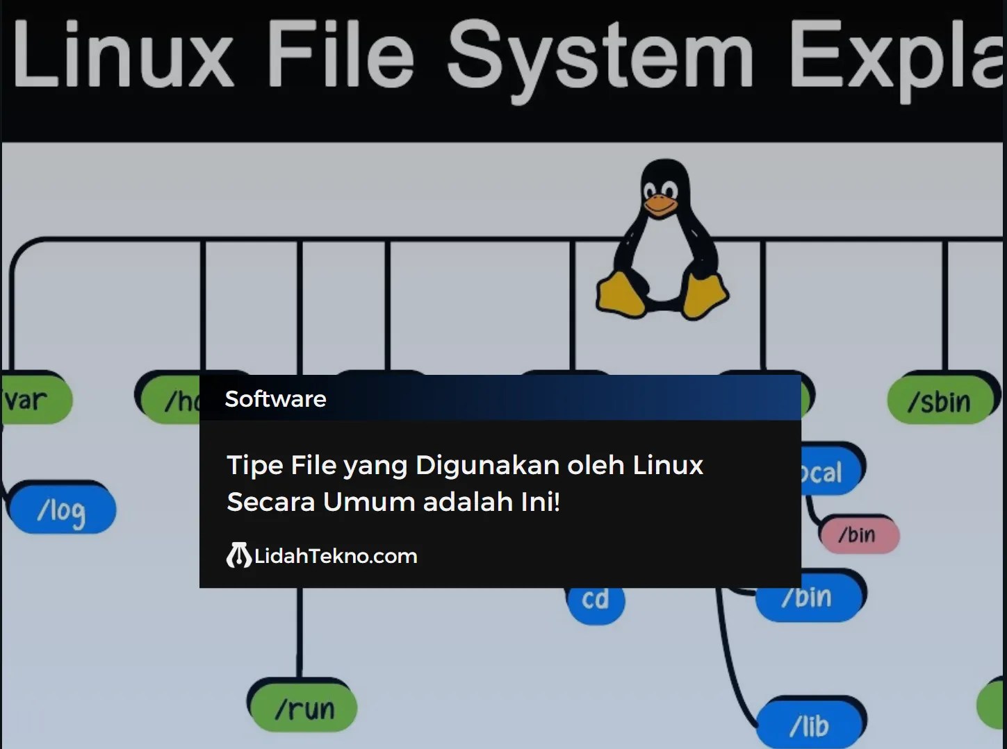 Tipe File yang Digunakan oleh Linux Secara Umum adalah Ini! LidahTekno