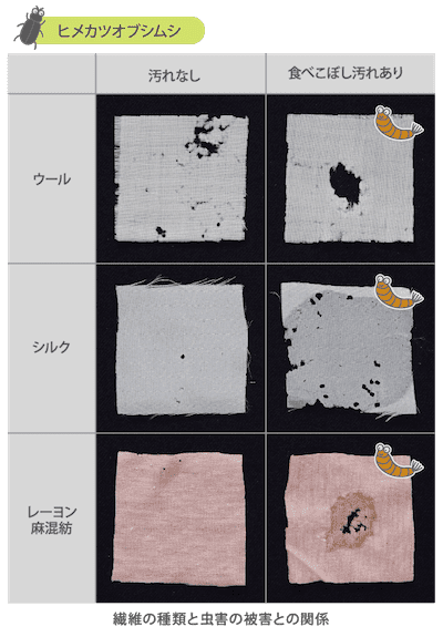 服 服の虫食い予防・対策！ウール素材などの衣替え時に行いたいお手入れのコツ | Lidea(リディア) By Lion