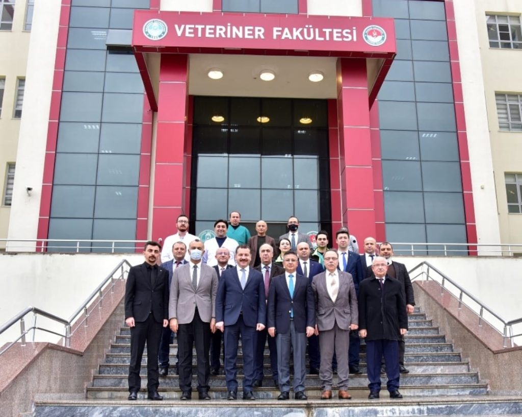 BAÜN Veteriner Fakültesi Hayvan Hastanesi Bünyesinde, Görüntüleme