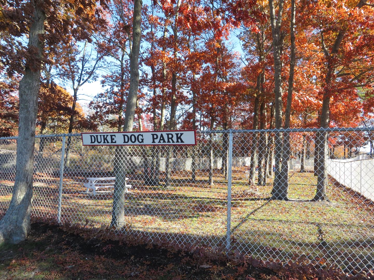 Suffolk County Dog Parks • LIDOG