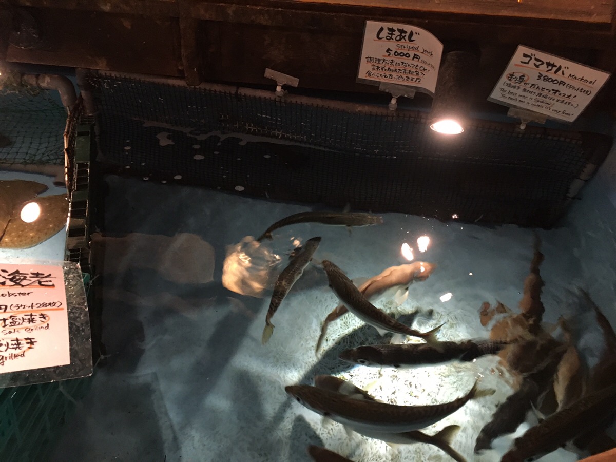 渋谷で釣りができる居酒屋「ざうお」に行ってきた。楽しめる居酒屋です。 らいふぷらすわん