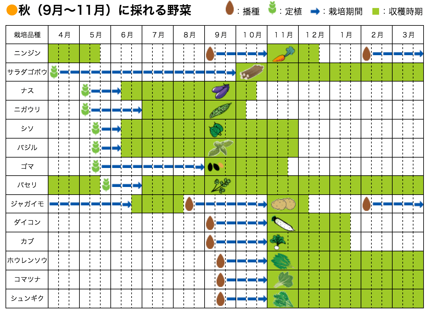 手ぶらで始める家庭菜園 らいふ菜園す 横浜市
