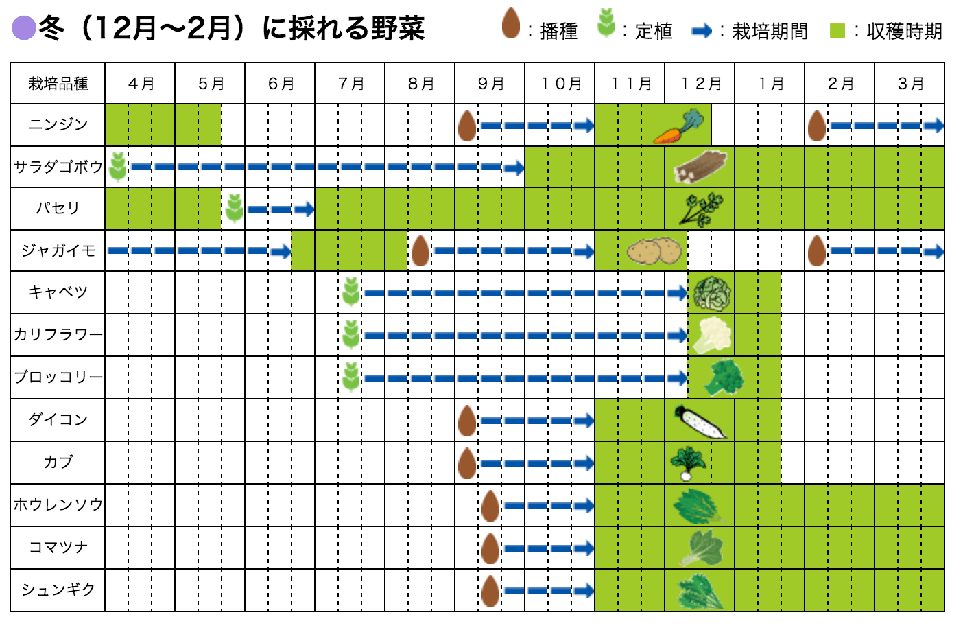 手ぶらで始める家庭菜園 らいふ菜園す 横浜市