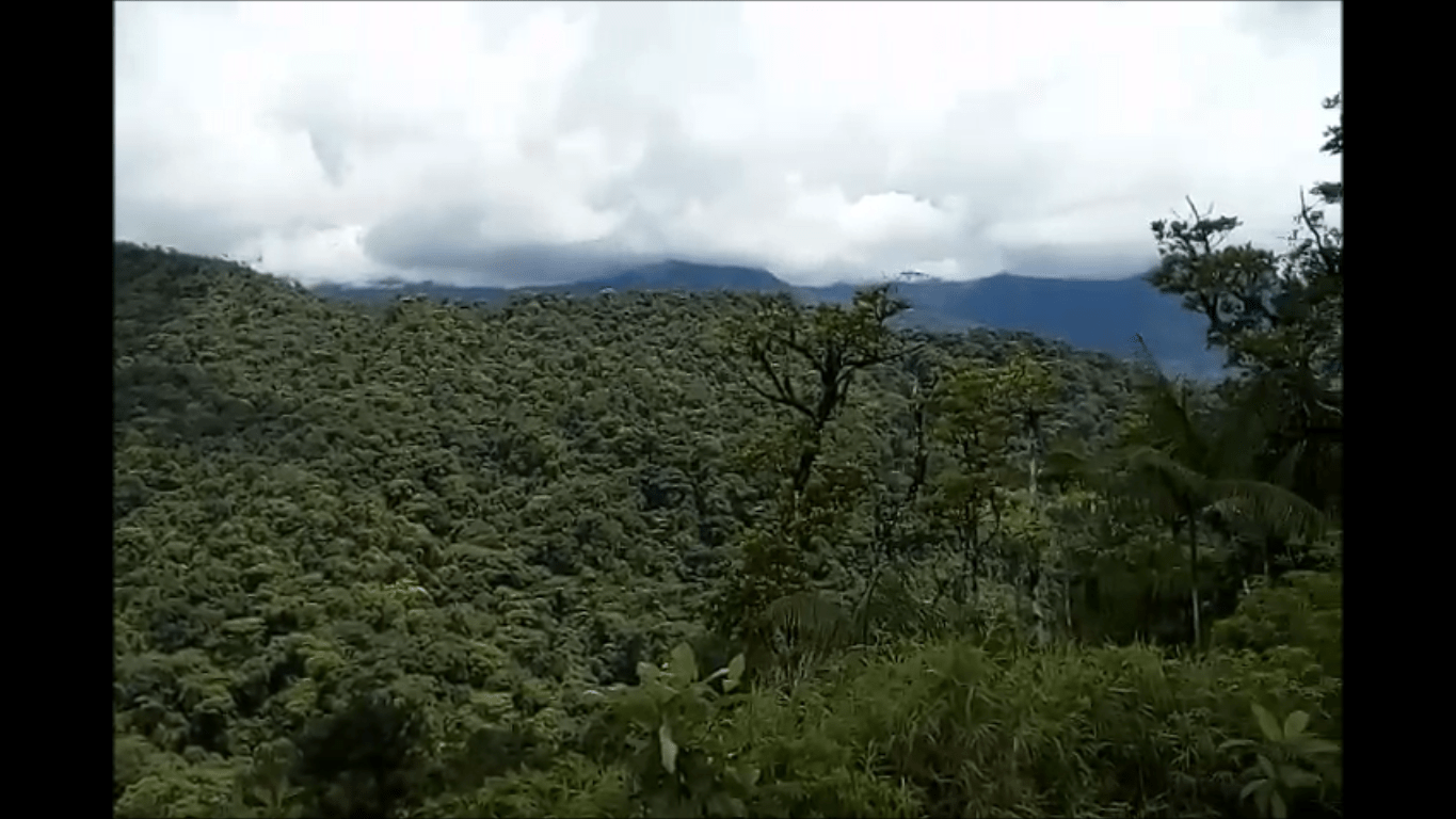 El Mirador in Santa Fe National Park, Veraguas Innside Coffee