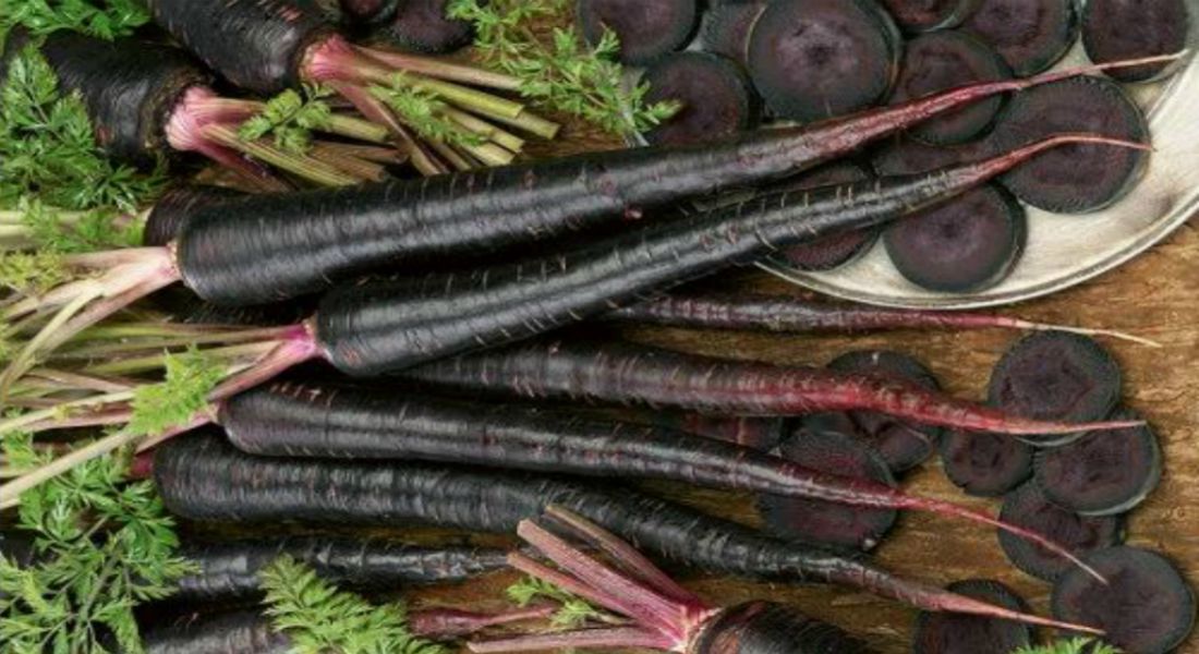 5 Untold Health Benefits of The Unknown BLACK CARROTS