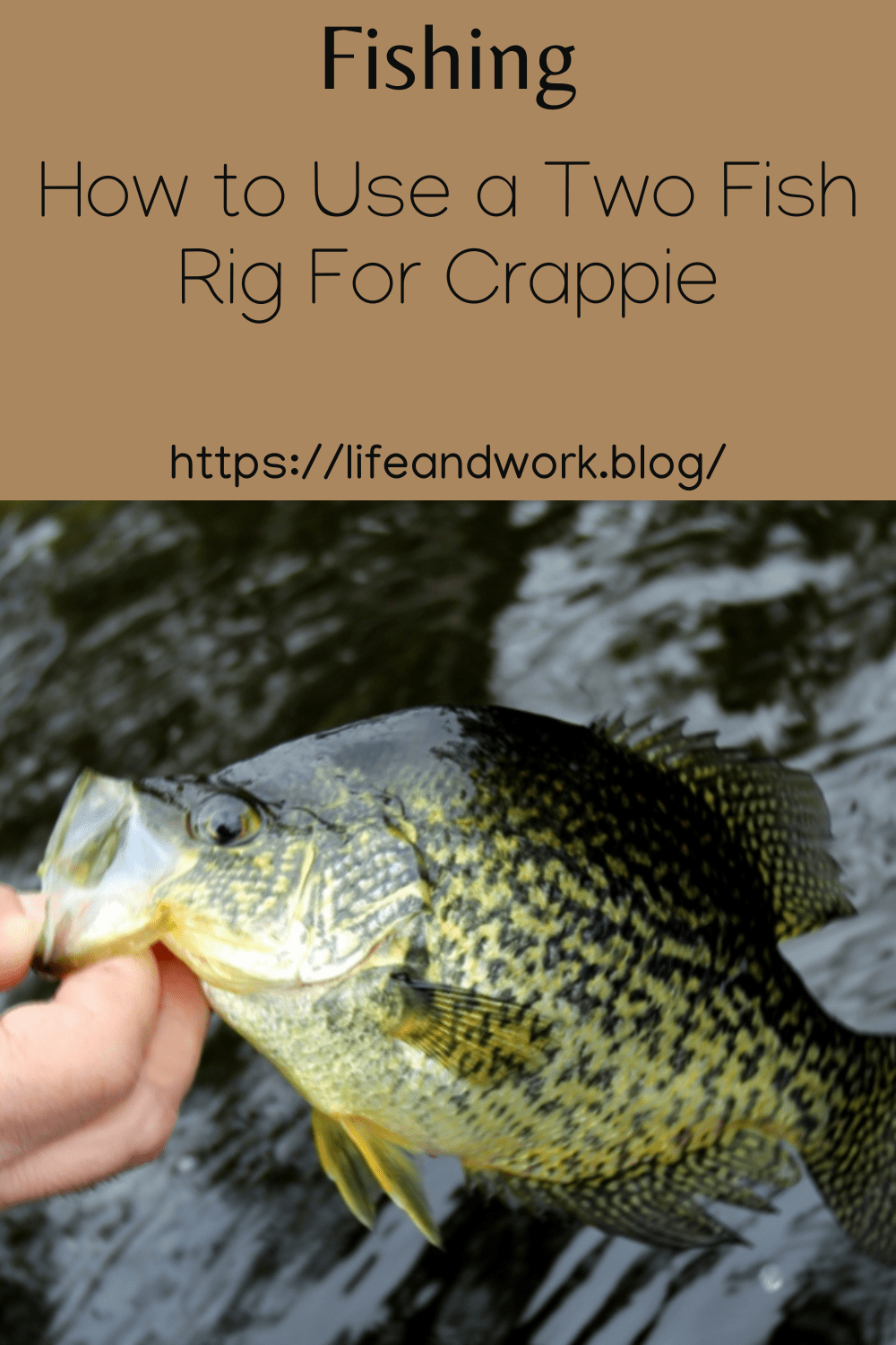 How to Use a Two Fish Rig For Crappie