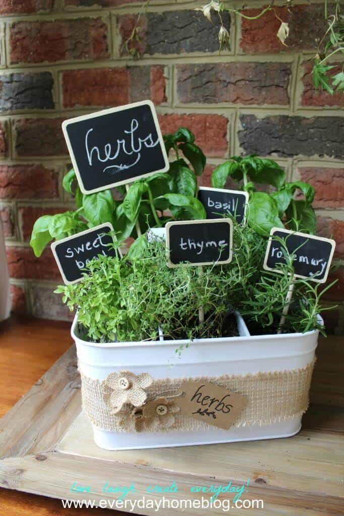 7 Fun Herb Garden Ideas