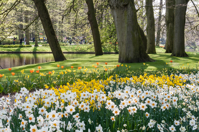 20 Things to do this Spring in New England lifeatmyownpace