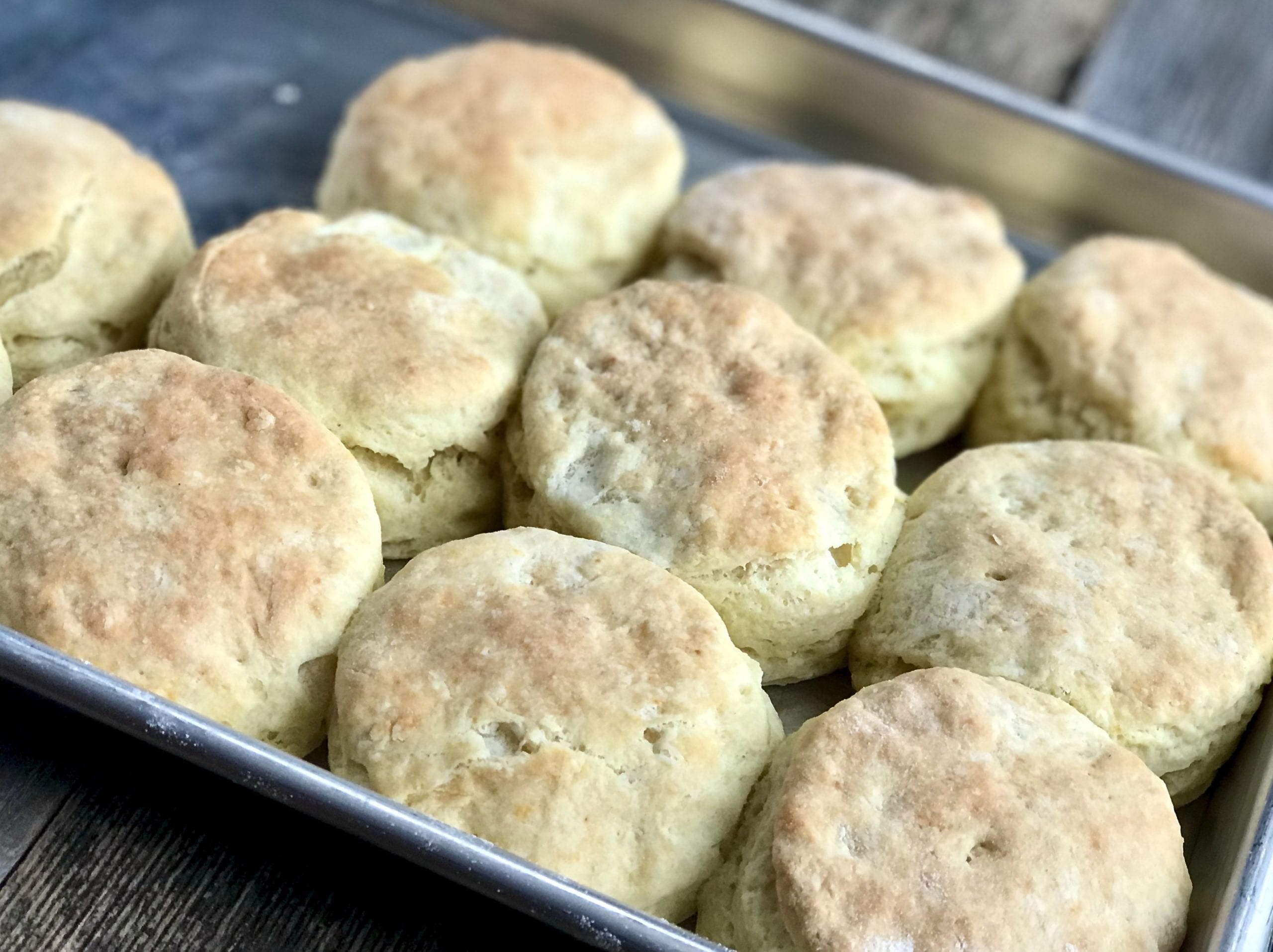 A Brief and Delicious Bit of Biscuit History Life At The Table