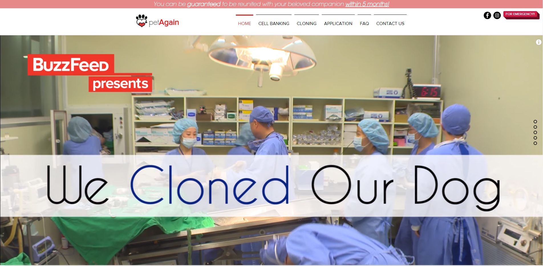 Petagain DOG CLONING AT SOOAM