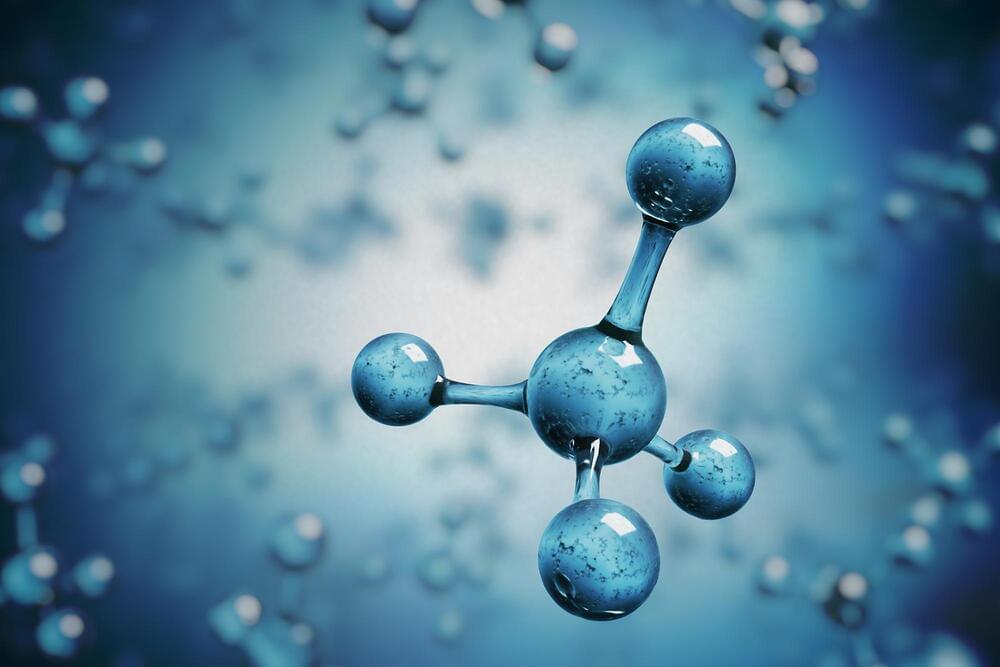 Warning Common Synthetic Chemicals Disrupt Key Biological Processes