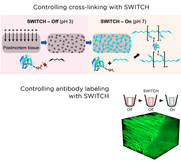 Our Technology LifeCanvas Technologies