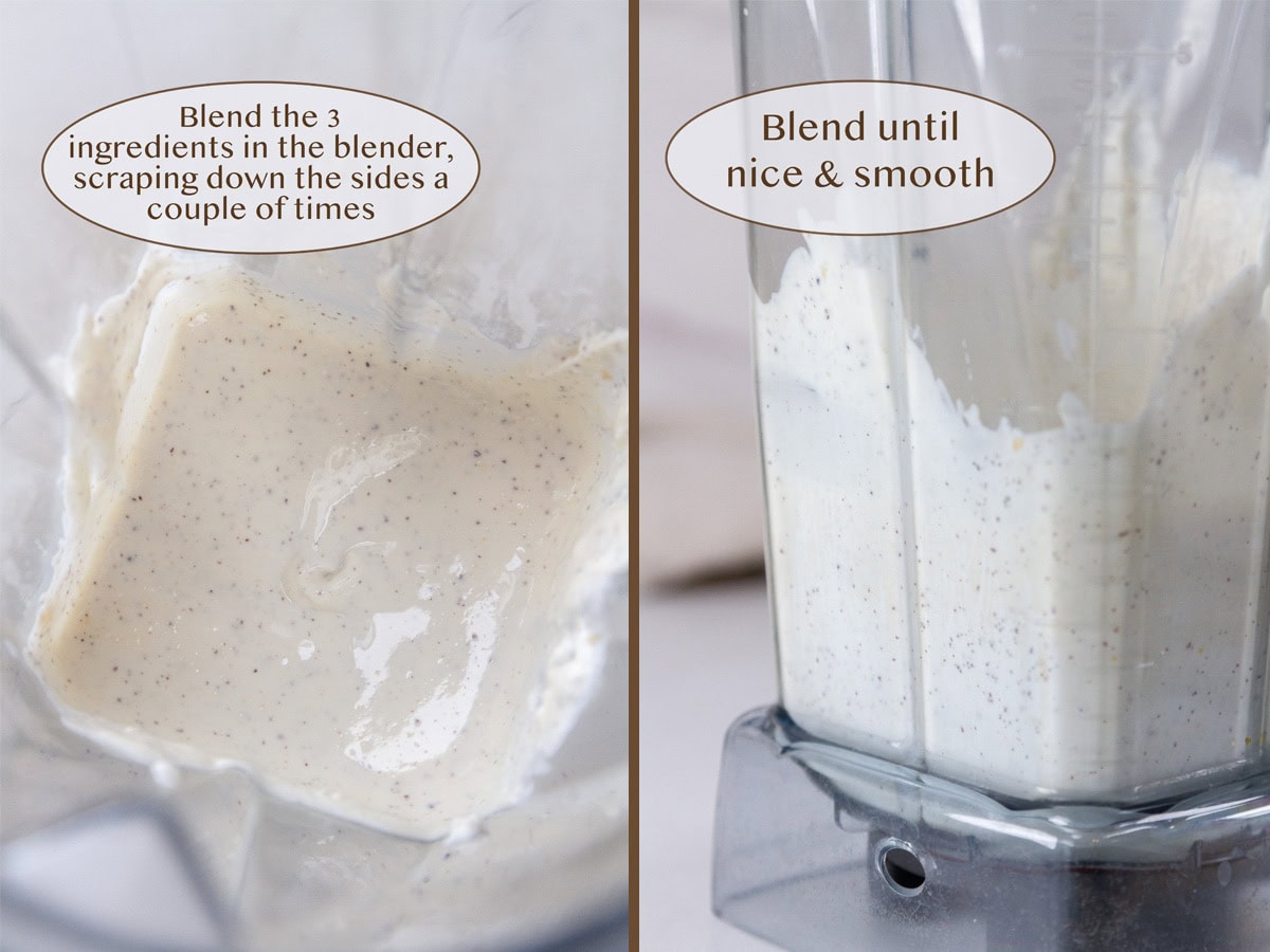 blended ingredients in the blender bowl.