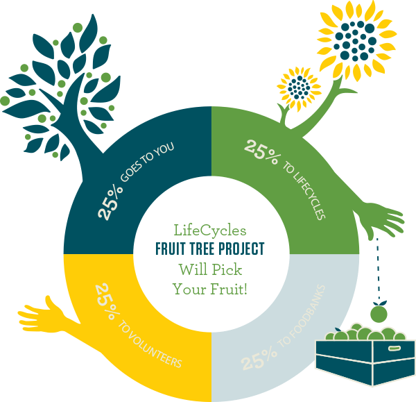 fruitdistribution LifeCycles Project Victoria, BC