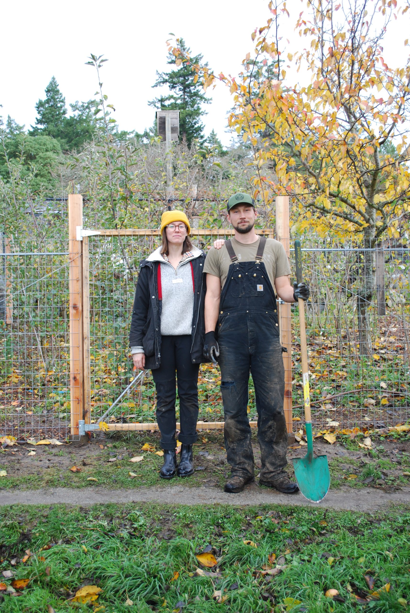 When is the best time to plant a fruit tree? LifeCycles Project Victoria, BC