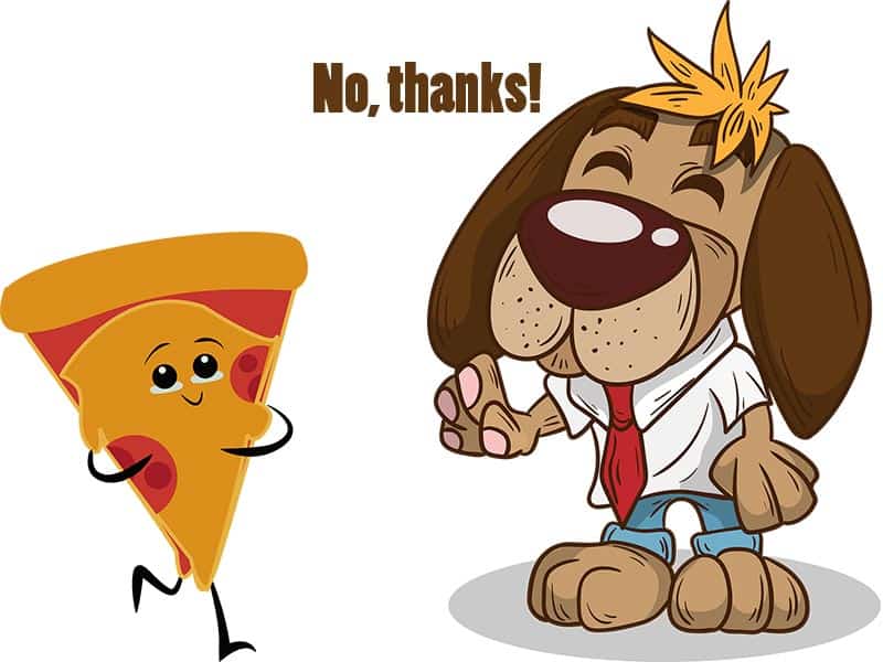 Can You Feed Pizza Crust to your Dog? Life Falcon