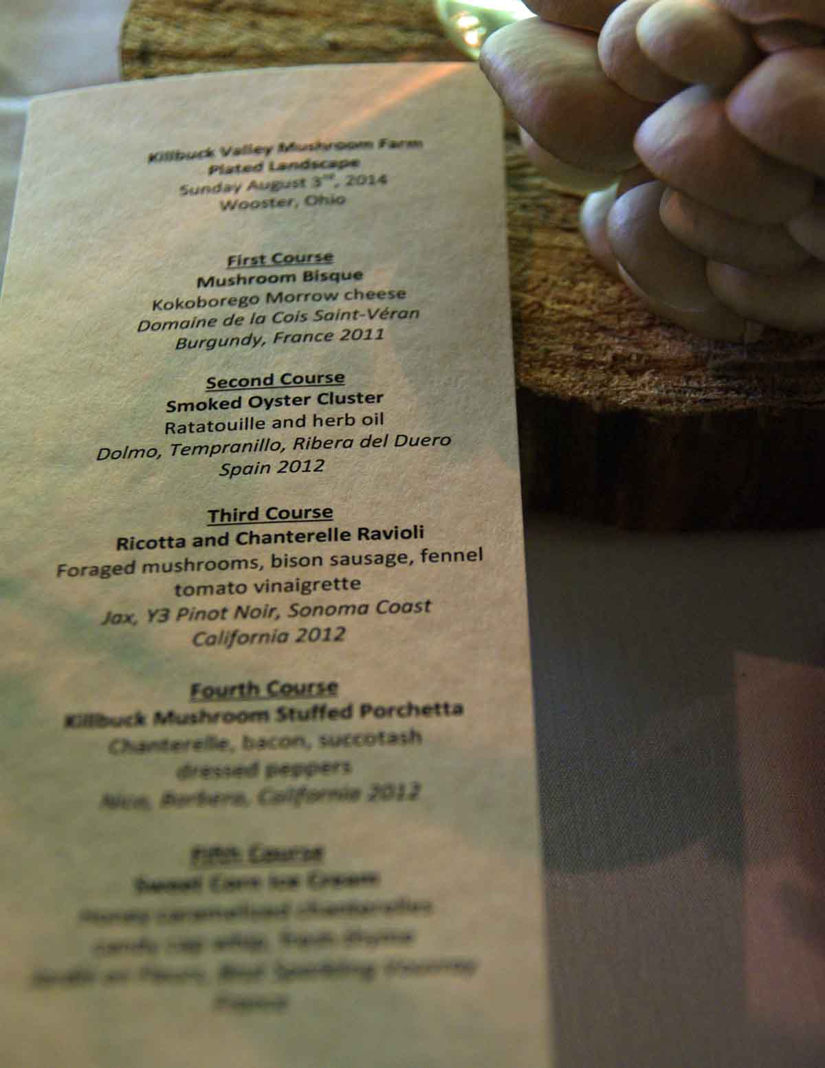 Plated Landscape Killbuck Valley