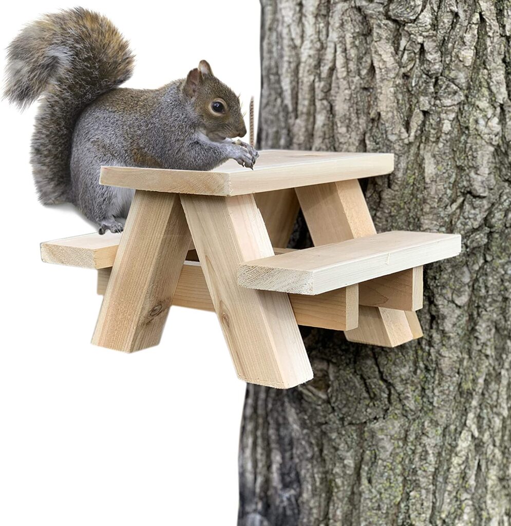 DIY Project Squirrel Picnic Table Life Hack and DIY Lifestyle