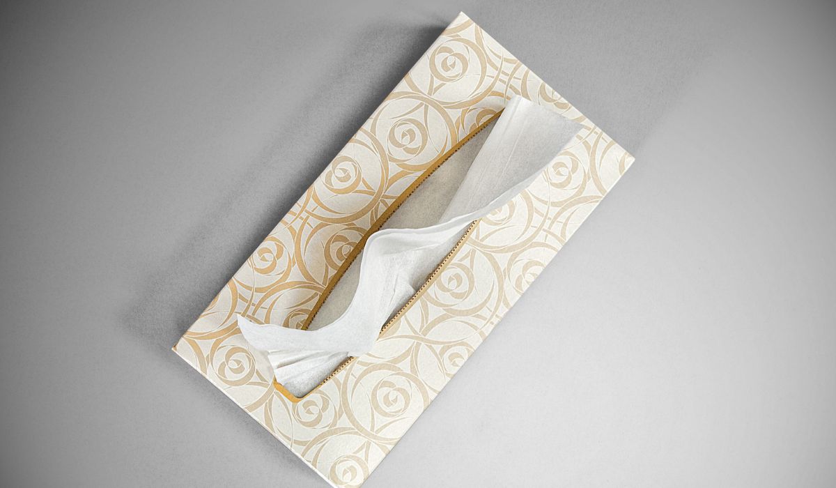 Can You Flush Kleenex Down the Toilet Here’s What Happens