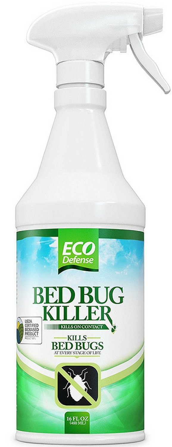 How to Get Rid of Bed Bugs in Less Than 48 Hours?