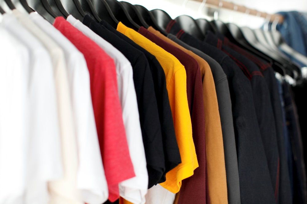 How To Choose The Best Clothes Moth Traps And Get Rid of Moths in Only