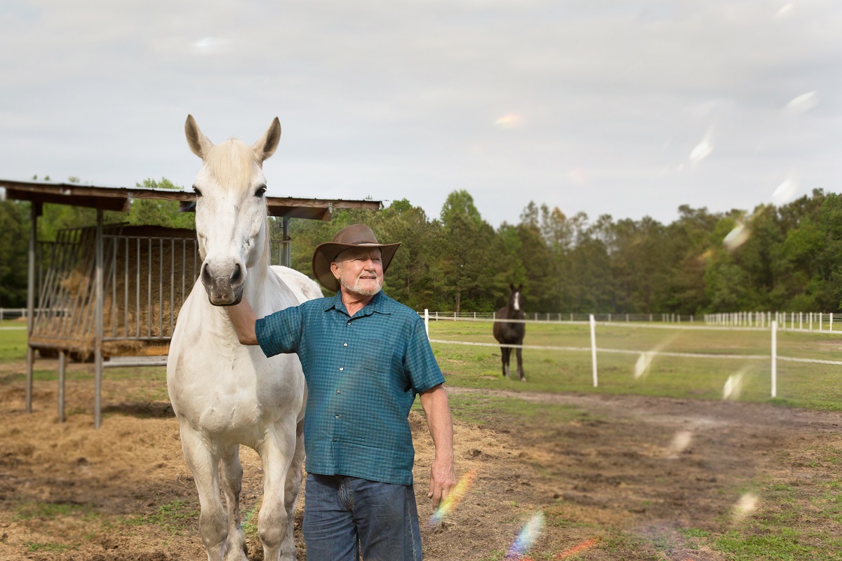 Springbrook Farms Brings Horses to a Home in Leland Life In Brunswick