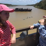 Ute bland flodhästar