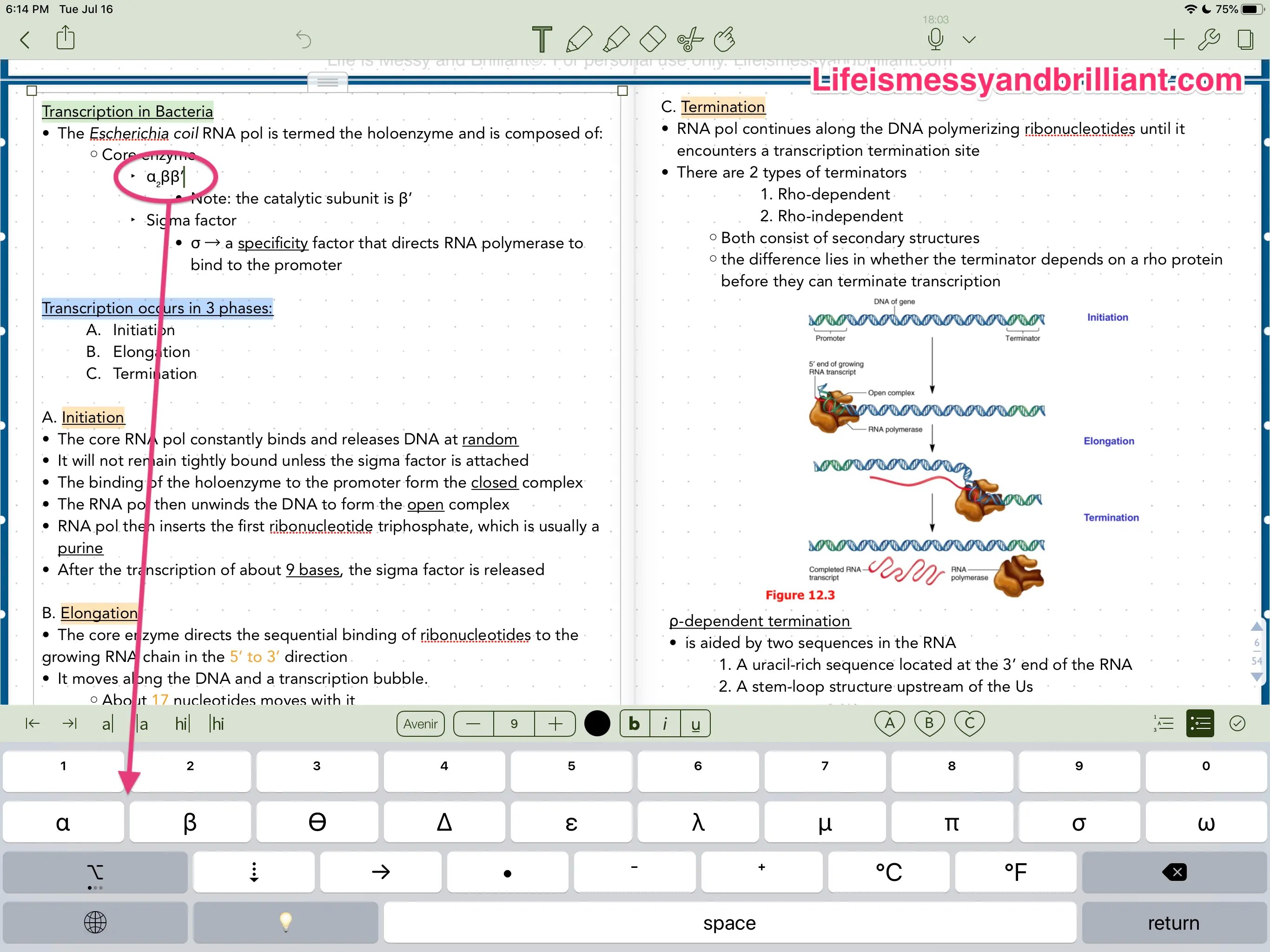 Best note taking app for college students ipad paratide