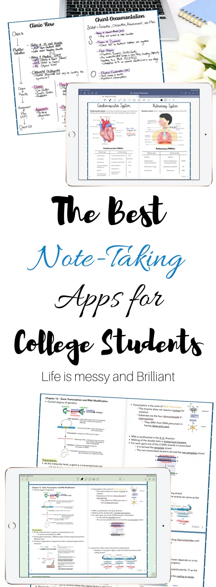 The Best College Note Taking Apps for iPad LaptrinhX / News