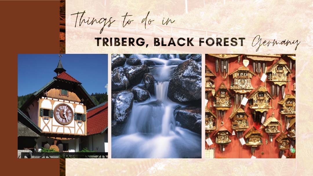 10 Best Things To Do in Triberg, Germany