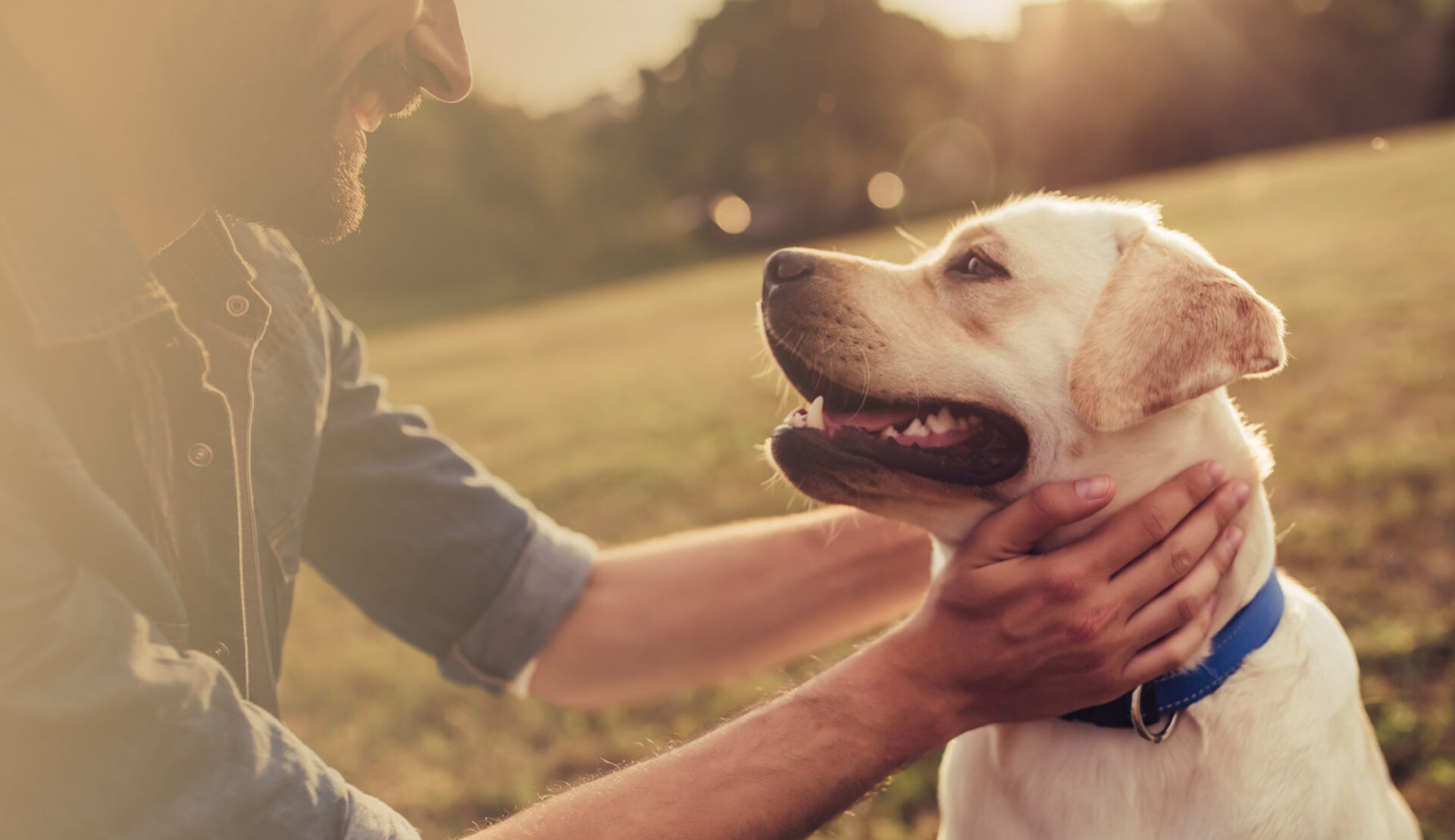 Home Life Line Pet Nutrition