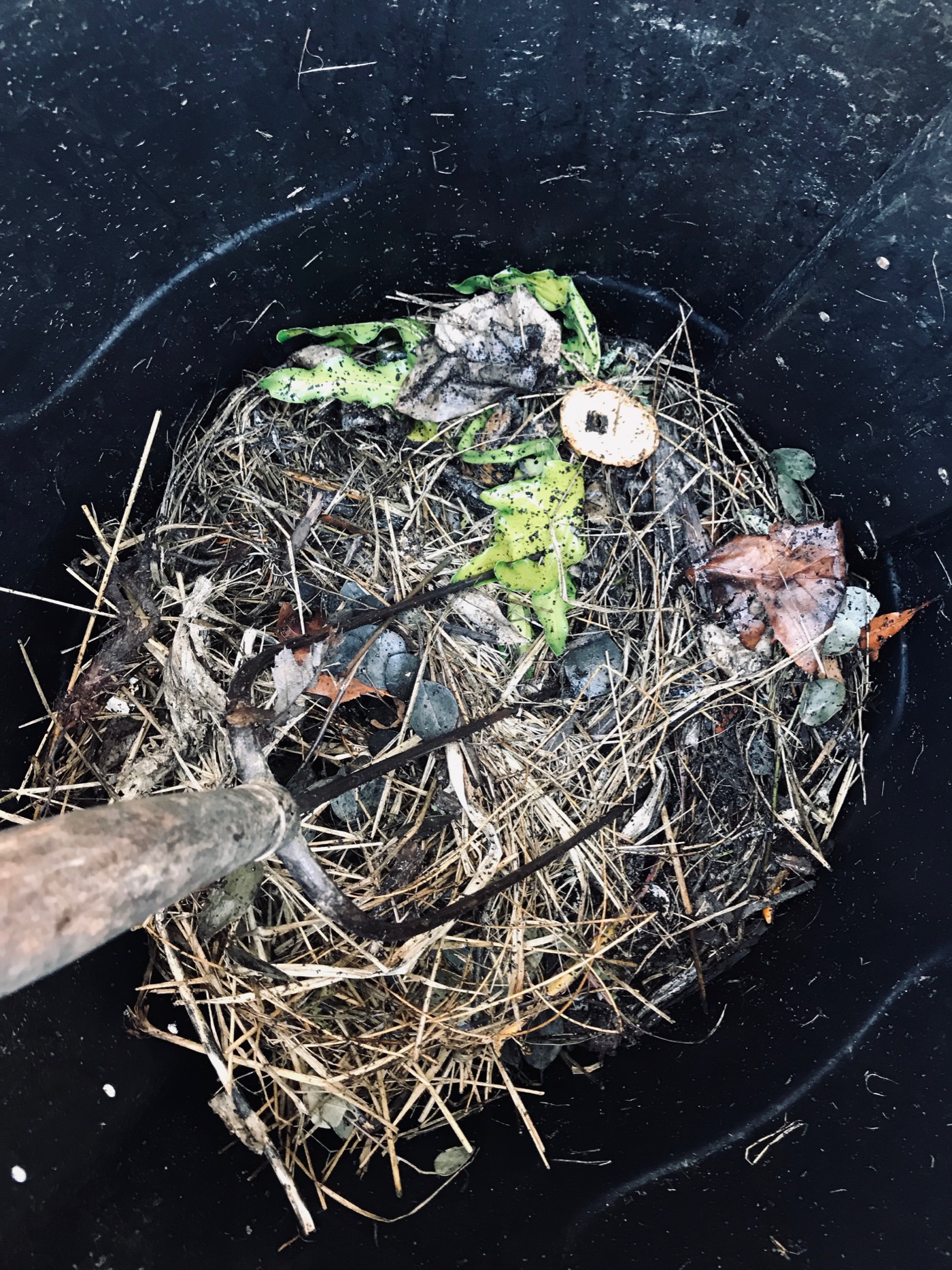 How to Create and Maintain a DIY Compost Bin Life Love Larson