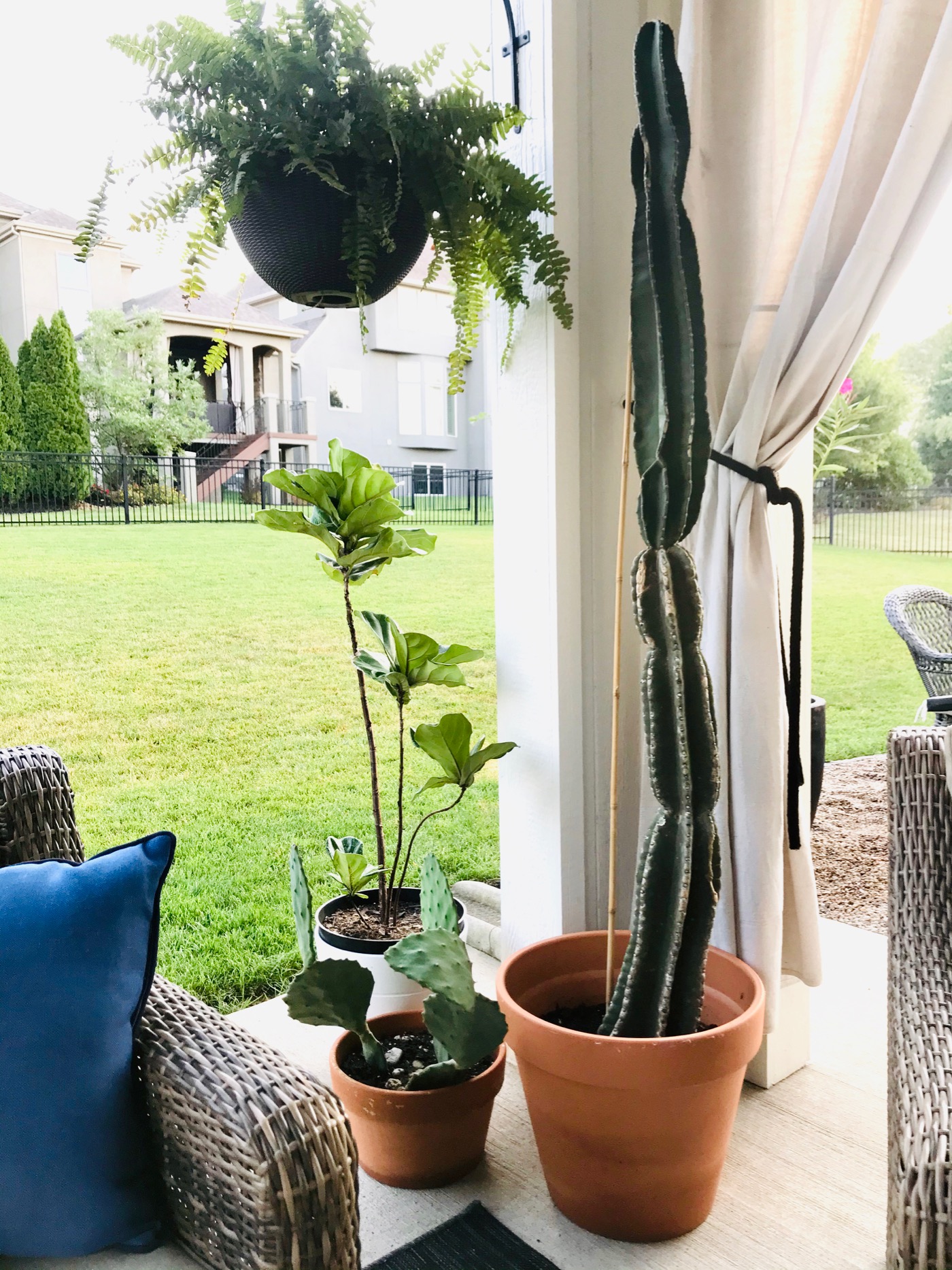 How to Pot a Large Cactus Life Love Larson