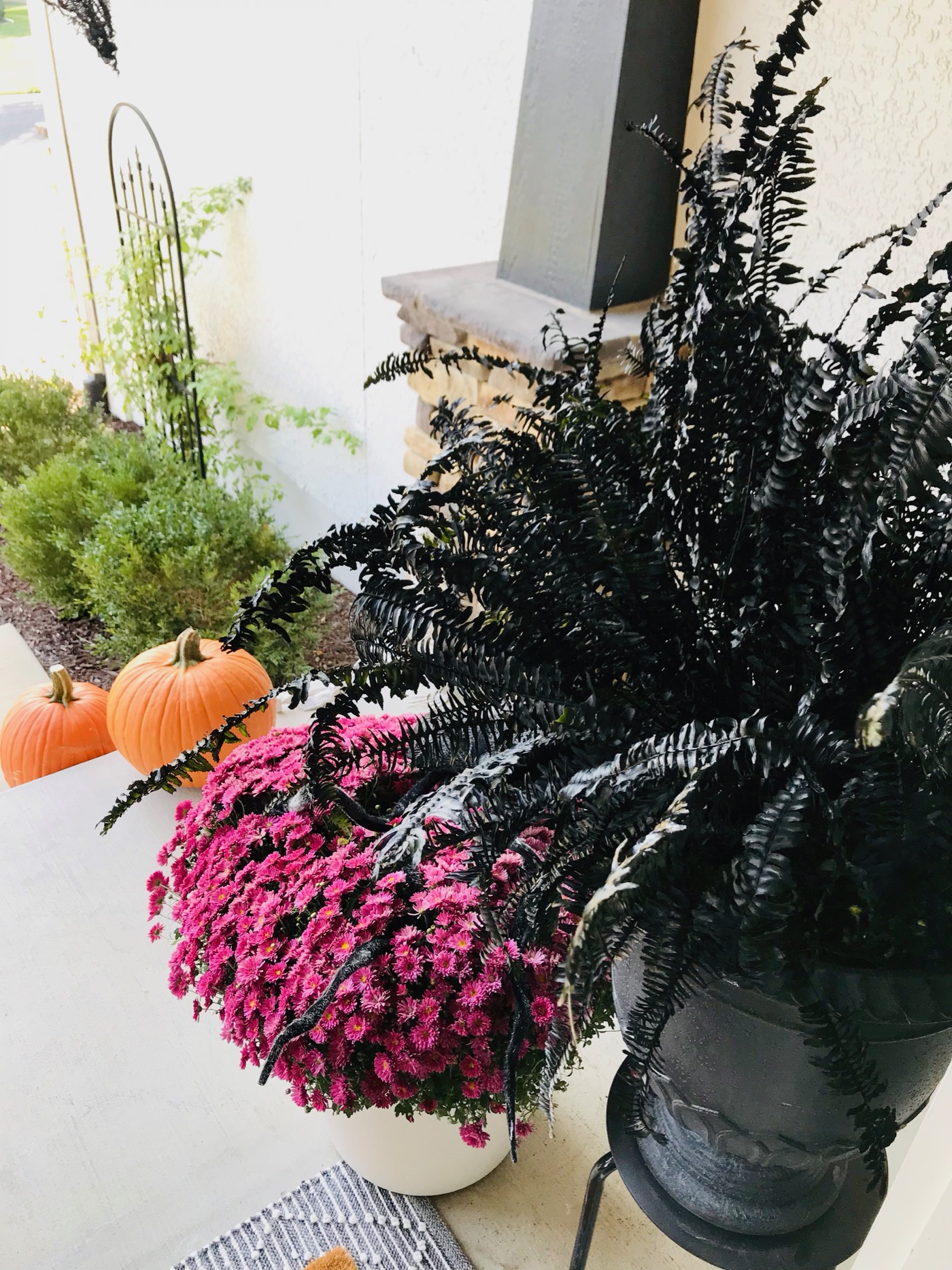 How to Spray Paint Flowers Black for Halloween Life Love Larson