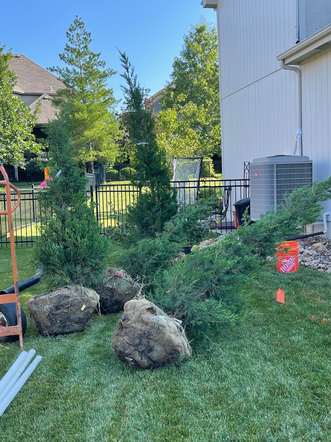 Adding Juniper Trees to the Side of House and How to Bury a Sump Pump