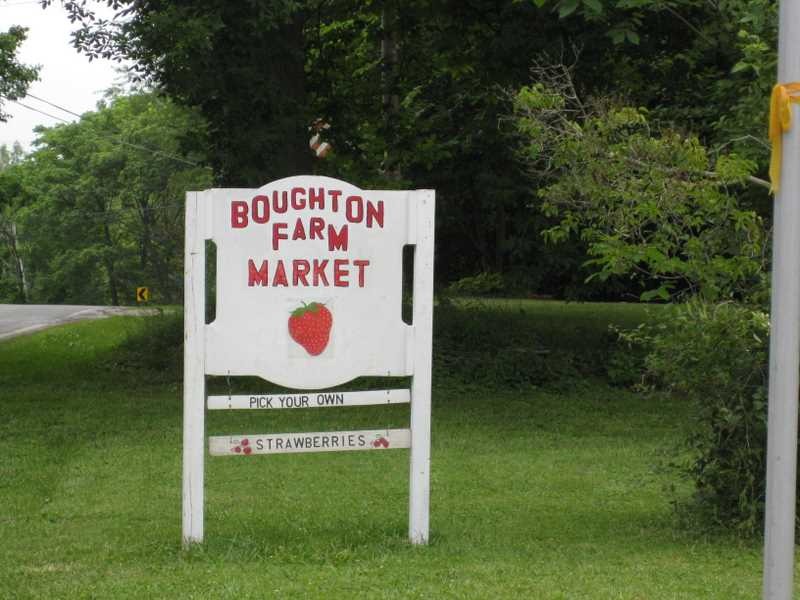 UPick Tour Boughton Farm, Akron Ohio » Life Lyn Style