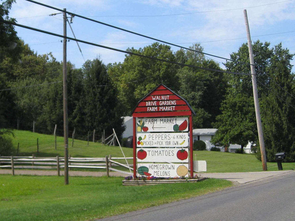 UPick TourWalnut Drive Gardens, Mogadore Ohiopeppers and red
