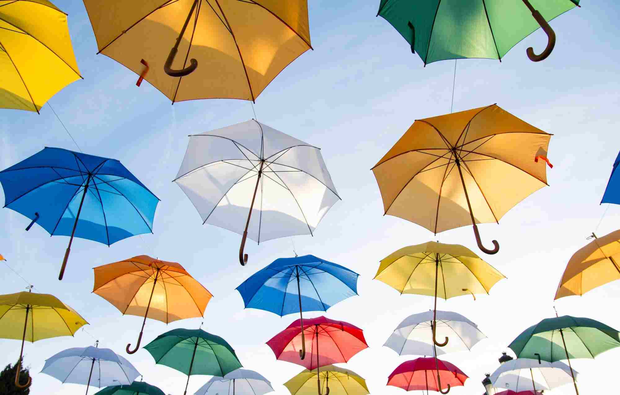 Rain or Shine A Guide to the Different Types of Umbrellas