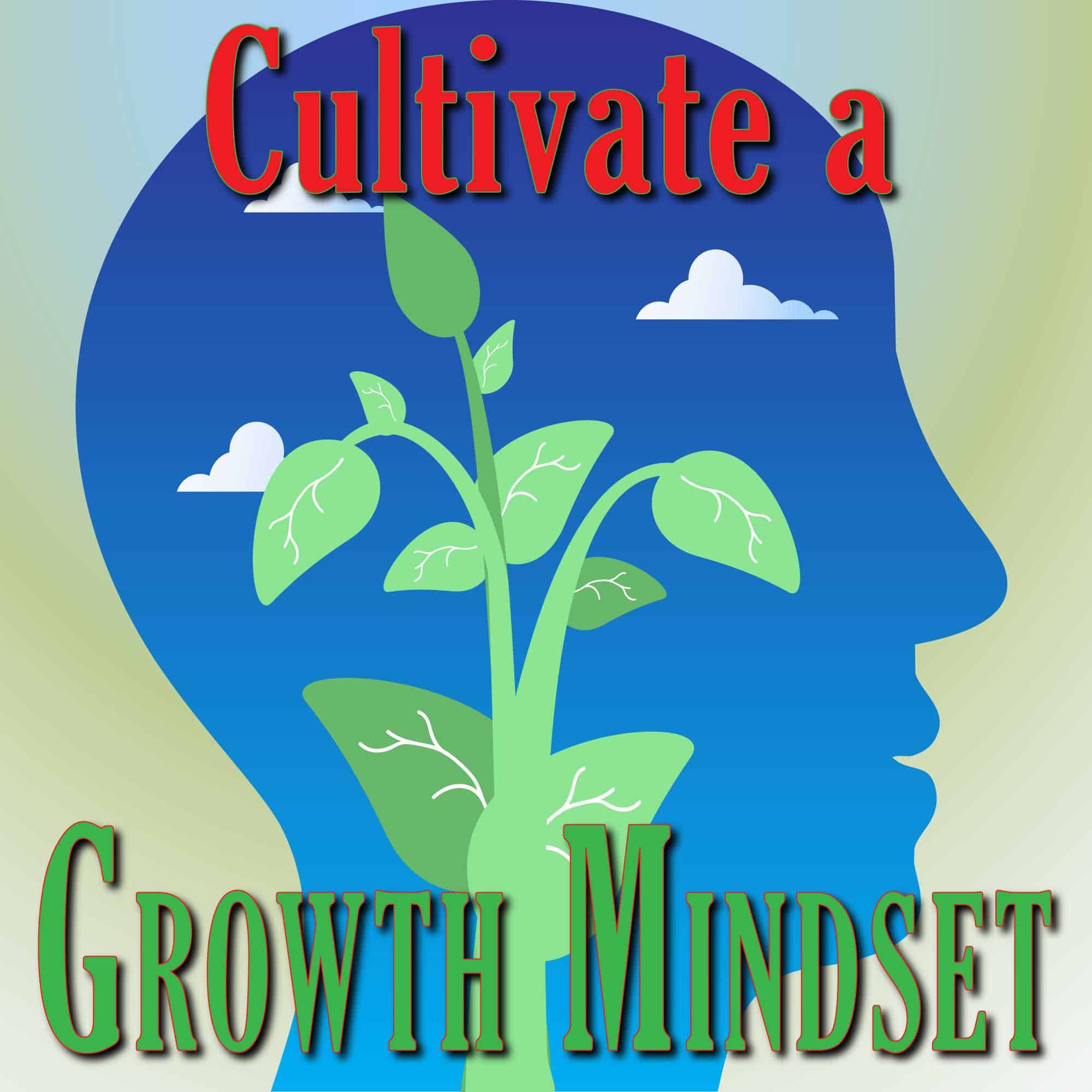 Cultivate a Growth Mindset Life Mastery Wisdom