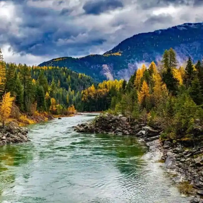 Bug Spray, Ticks and Mosquitoes Life Not Labs Wildlife News